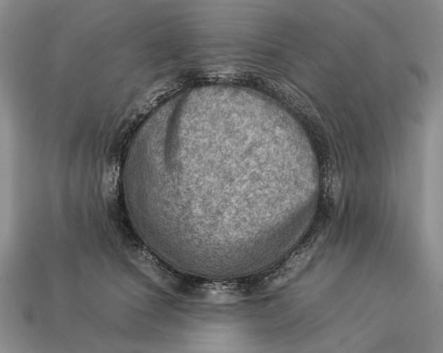 X0000112770660200909101552