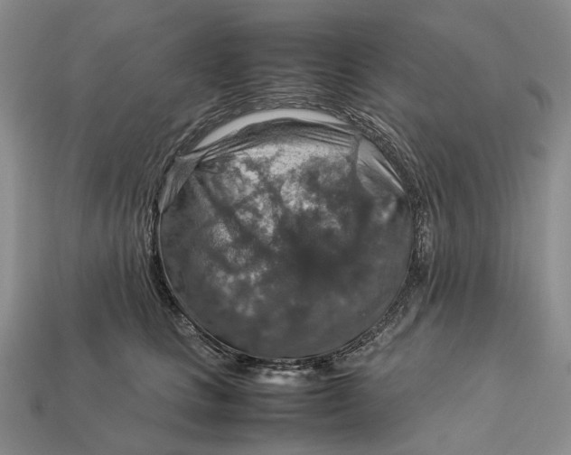 X0000112770661200909101552