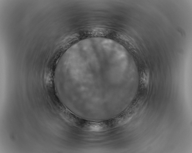 X0000112770663200909101552