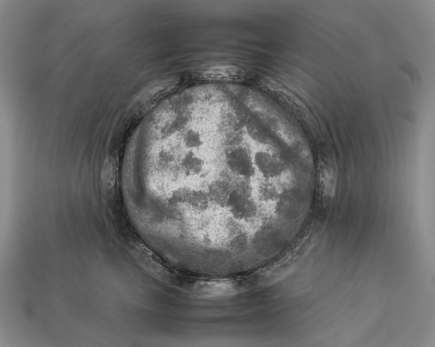 X0000112770665200909101552