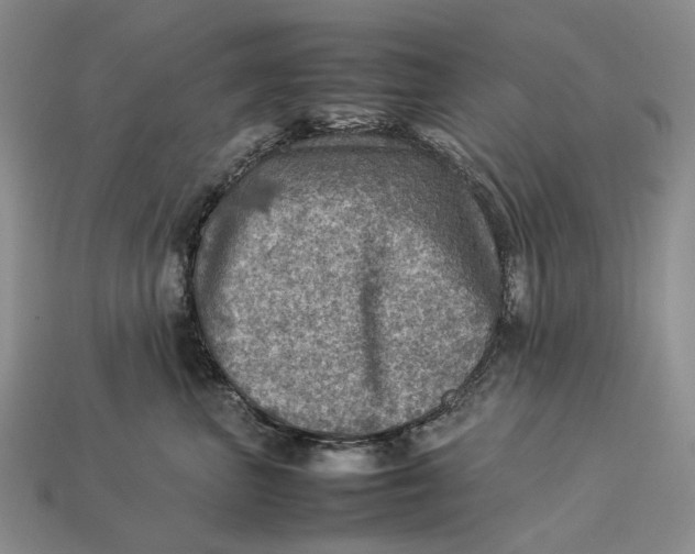 X0000112770667200909101552