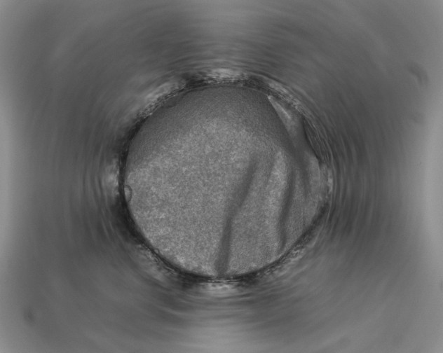 X0000112770668200909101552