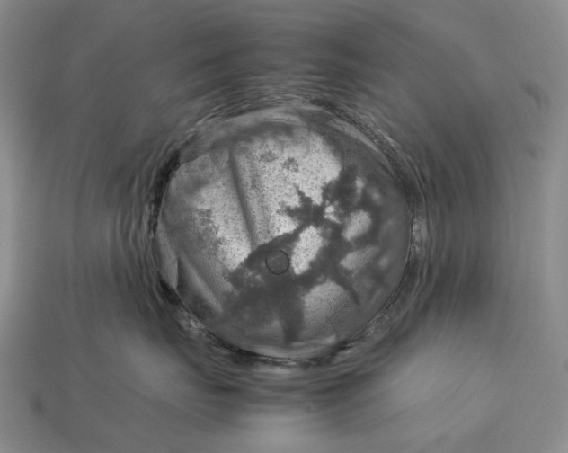 X0000112770671200909101552