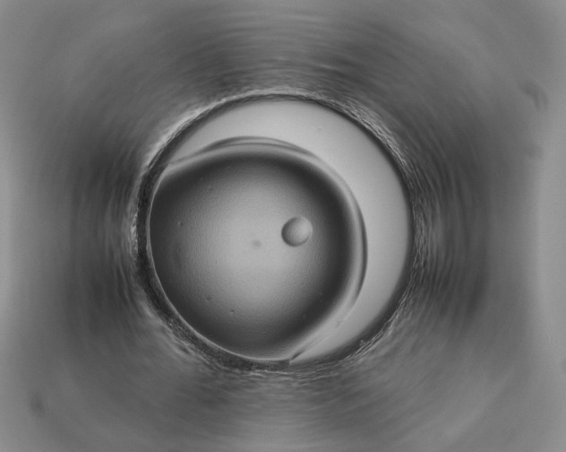 X0000112770676200909101552