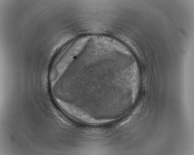 X0000112770677200909101552