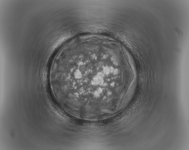 X0000112770679200909101552