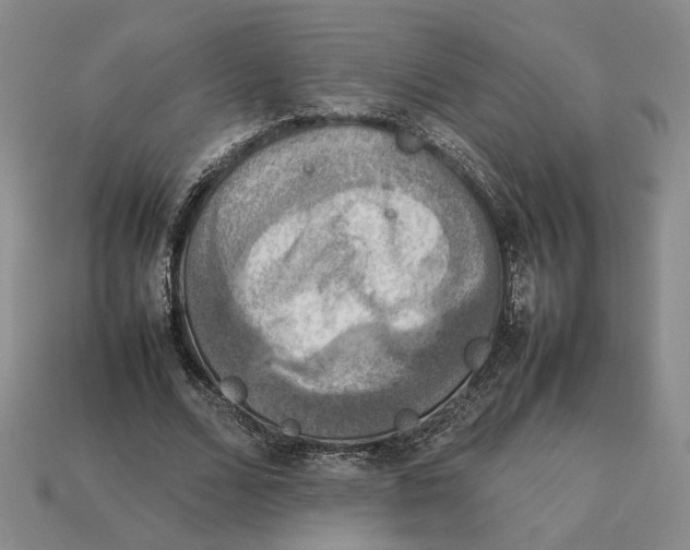 X0000112770680200909101552