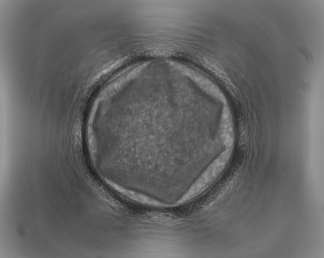 X0000112770681200909101552