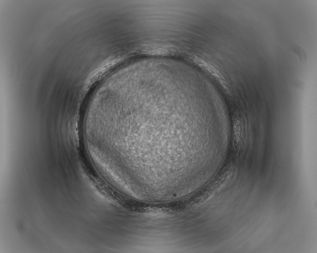 X0000112770682200909101552