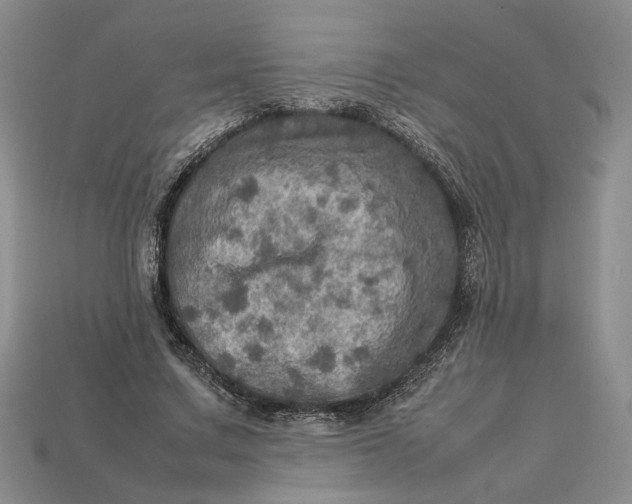 X0000112770683200909101552