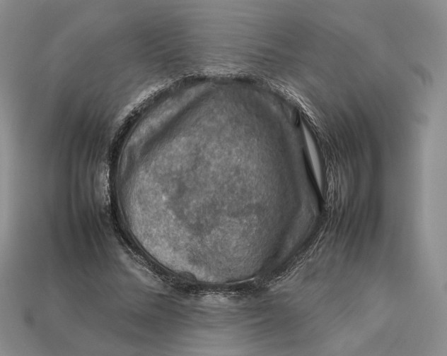 X0000112770684200909101552