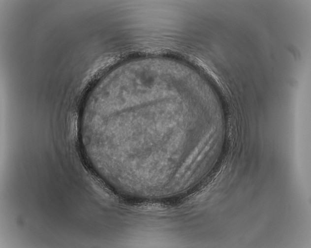 X0000112770685200909101552