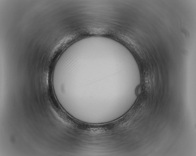 X0000112770686200909101552