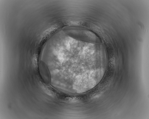 X0000112770688200909101552