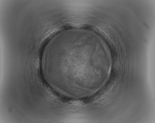 X0000112770689200909101552