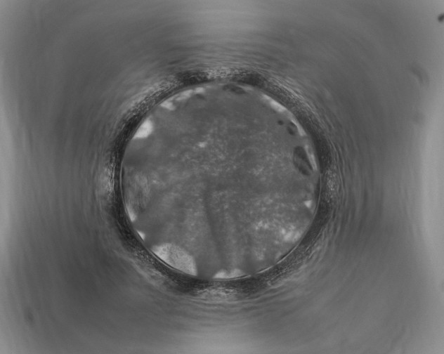 X0000112770691200909101552