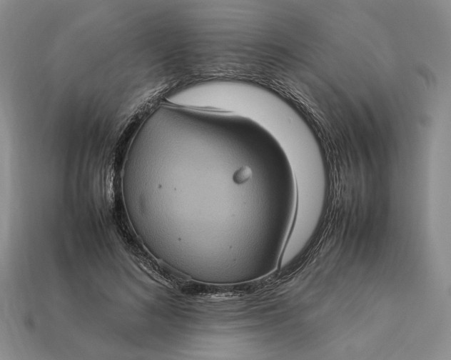 X0000112770692200909101551