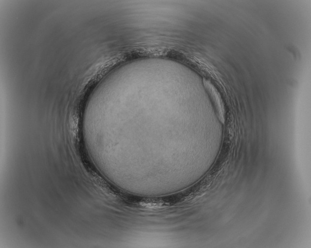 X0000112770693200909101551