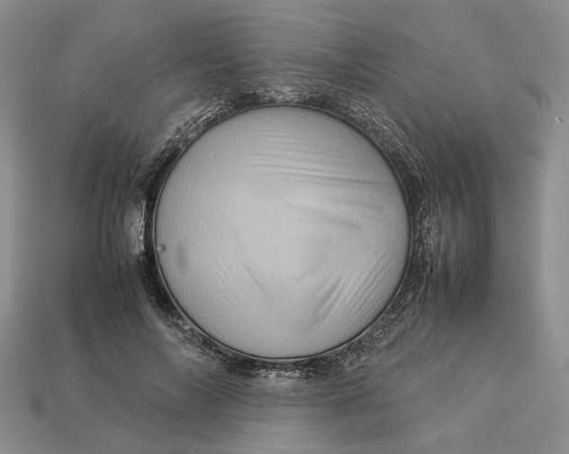 X0000112770694200909101551