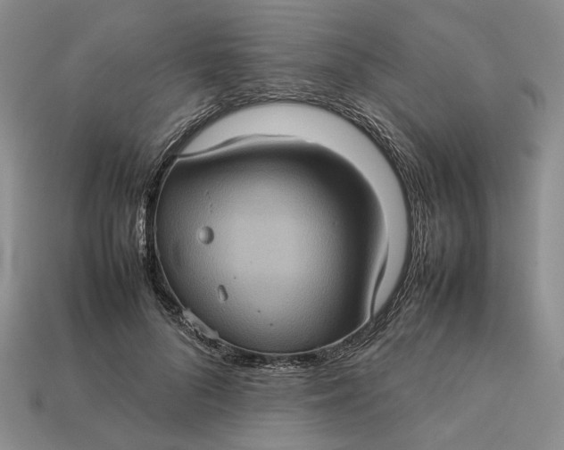 X0000112770696200909101551