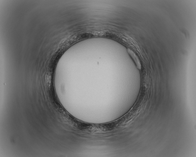 X0000112770697200909101551