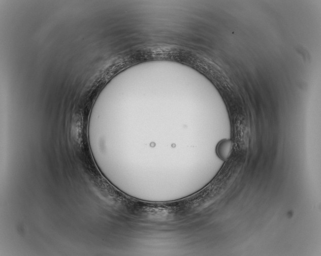 X0000112770698200909101551