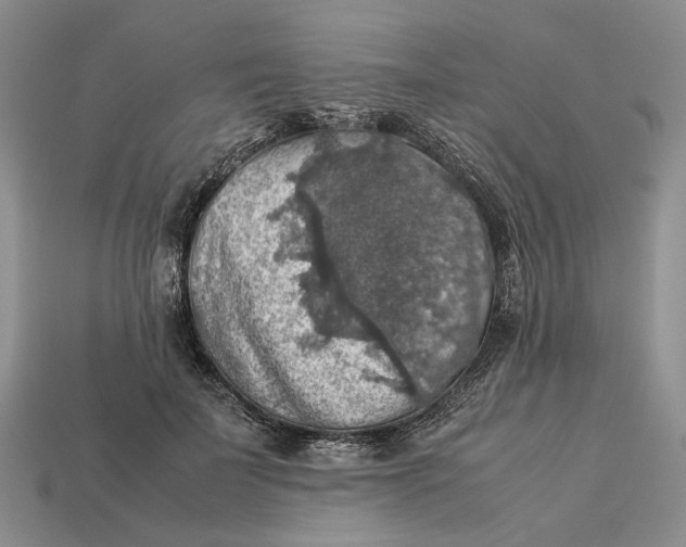 X0000112770699200909101551