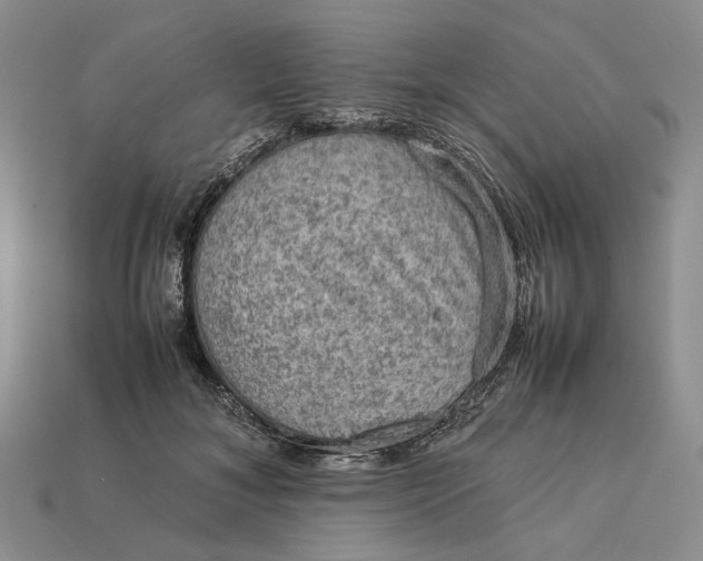 X0000112770700200909101551