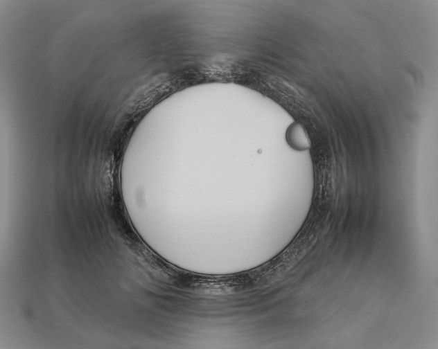 X0000112770702200909101551