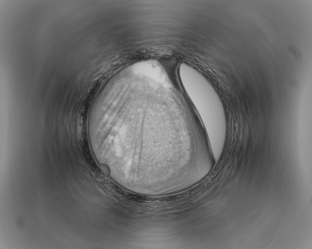 X0000112770704200909101551