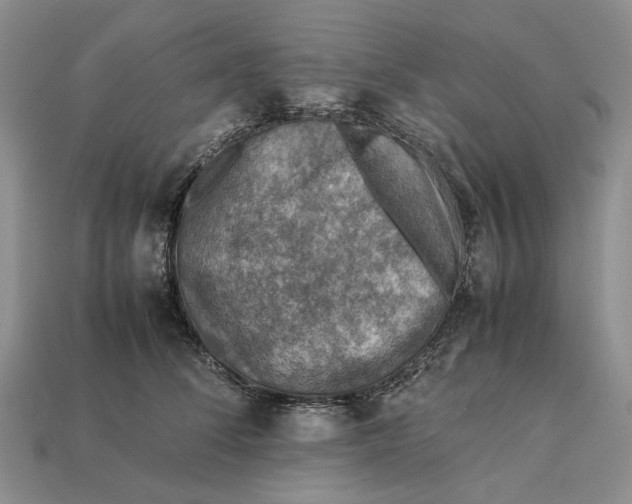 X0000112770708200909101551