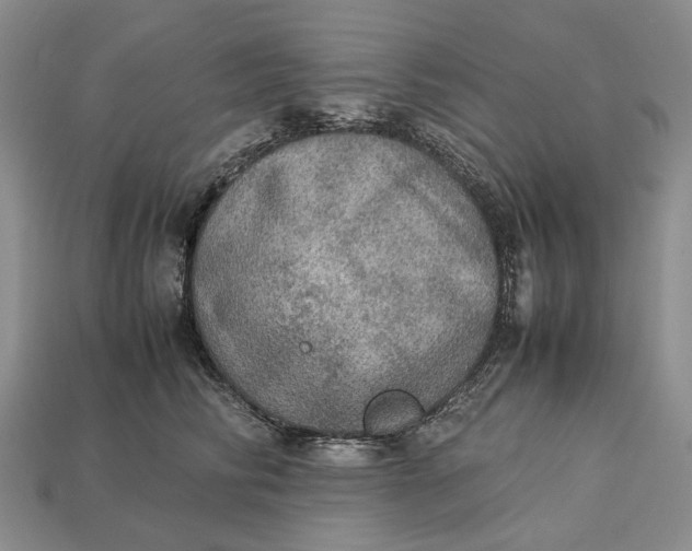 X0000112770710200909101551