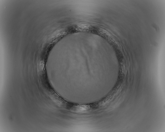 X0000112770711200909101551