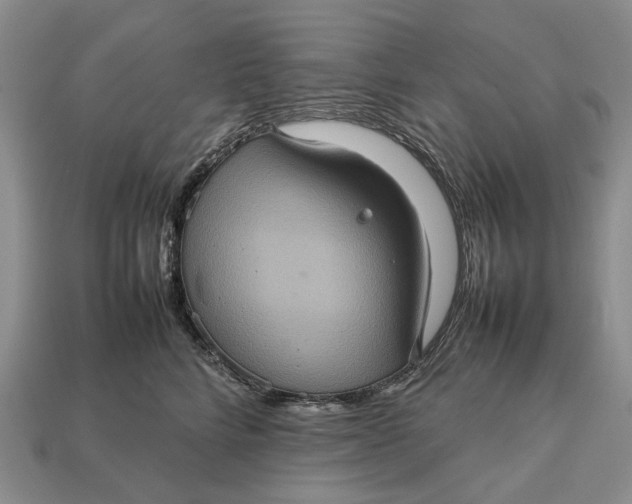 X0000112770712200909101551