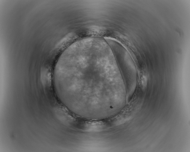 X0000112770716200909101551