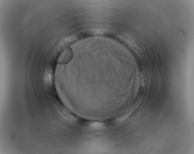 X0000112770718200909101551