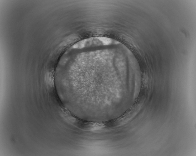 X0000112770719200909101551