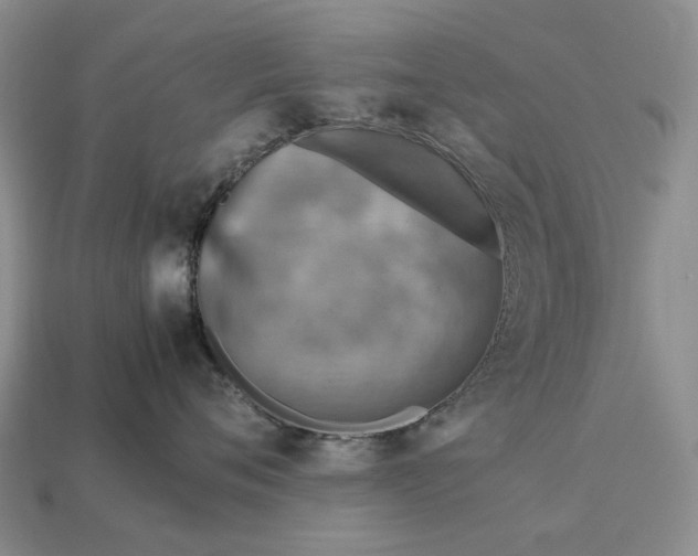 X0000112770720200909101551