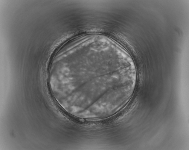 X0000112770721200909101550