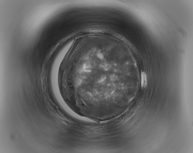 X0000112770723200909101550