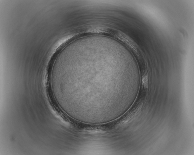 X0000112770724200909101550