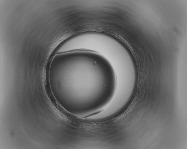 X0000112770725200909101550