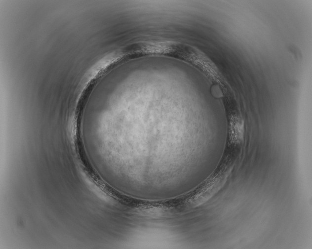 X0000112770726200909101550