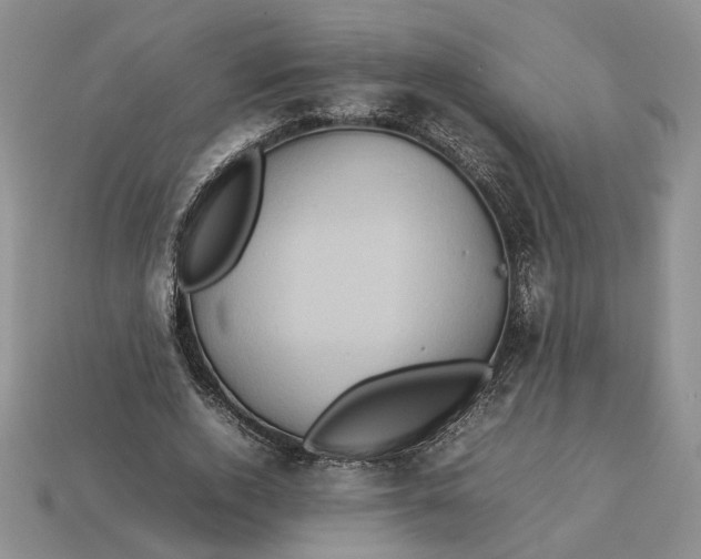 X0000112770728200909101550