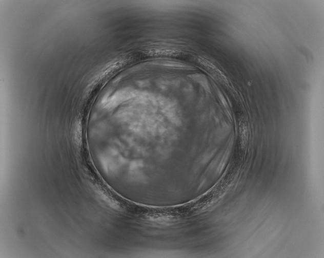 X0000112770729200909101550