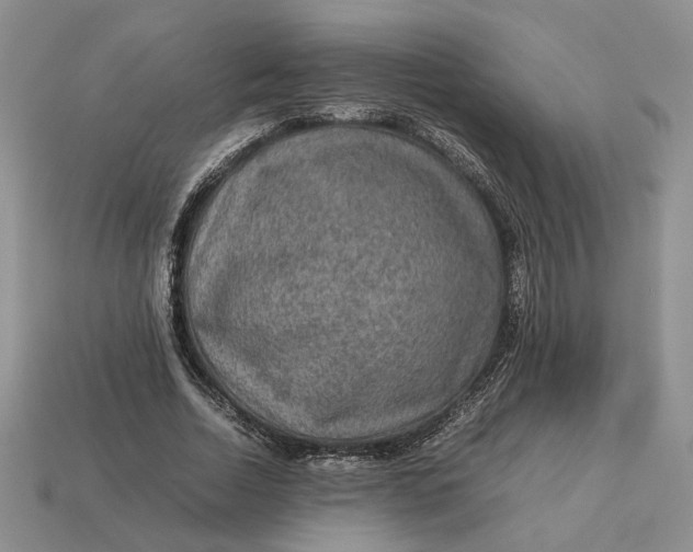 X0000112770730200909101550