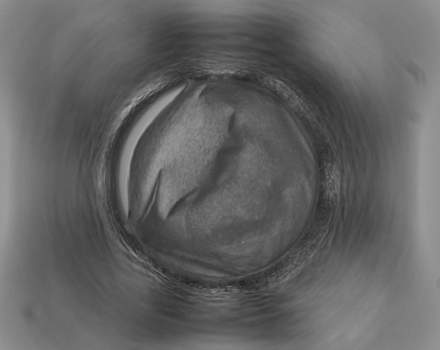 X0000112770731200909101550