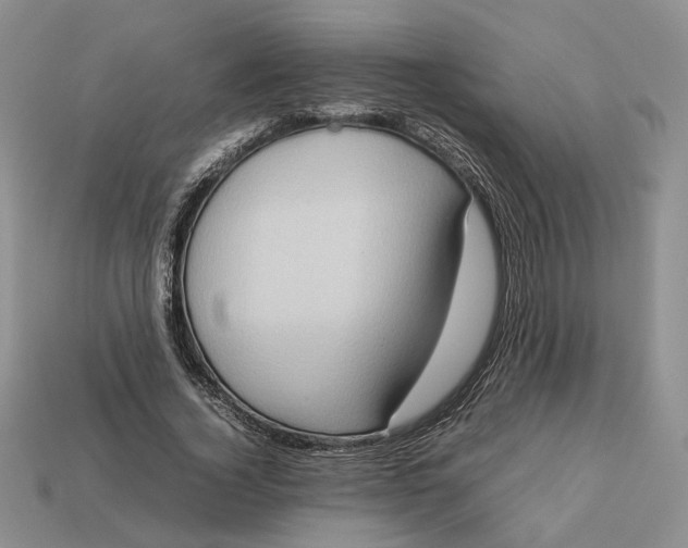 X0000112770732200909101550