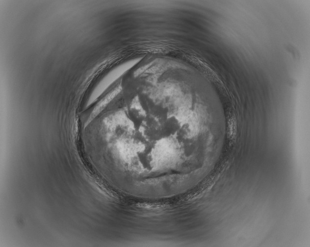 X0000112770733200909101550