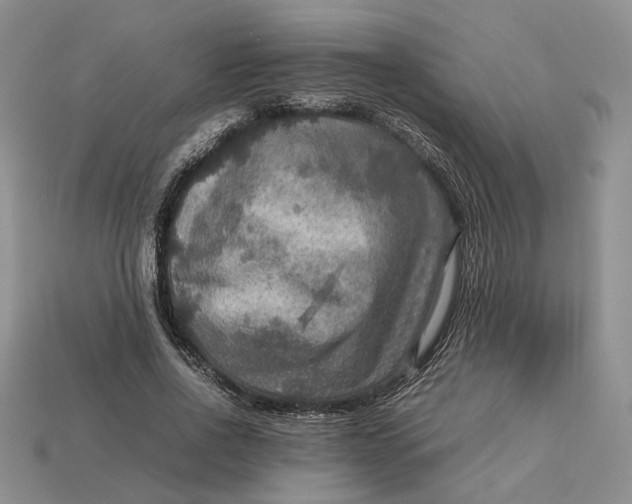 X0000112770734200909101551